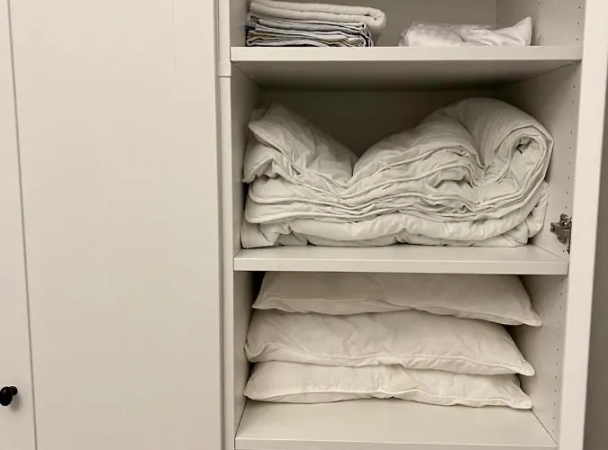 Green Apartment 里加